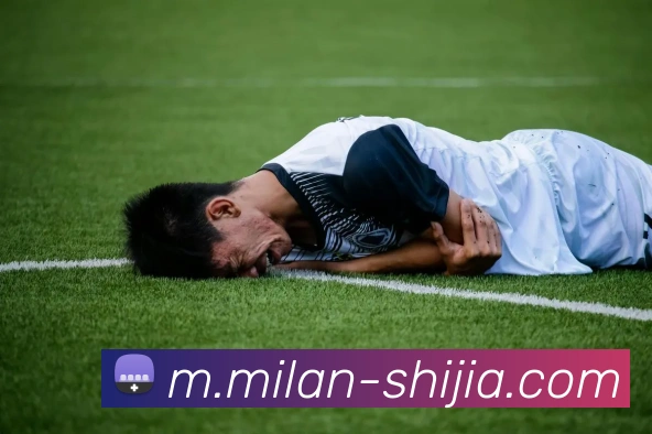 多媒体互动体验